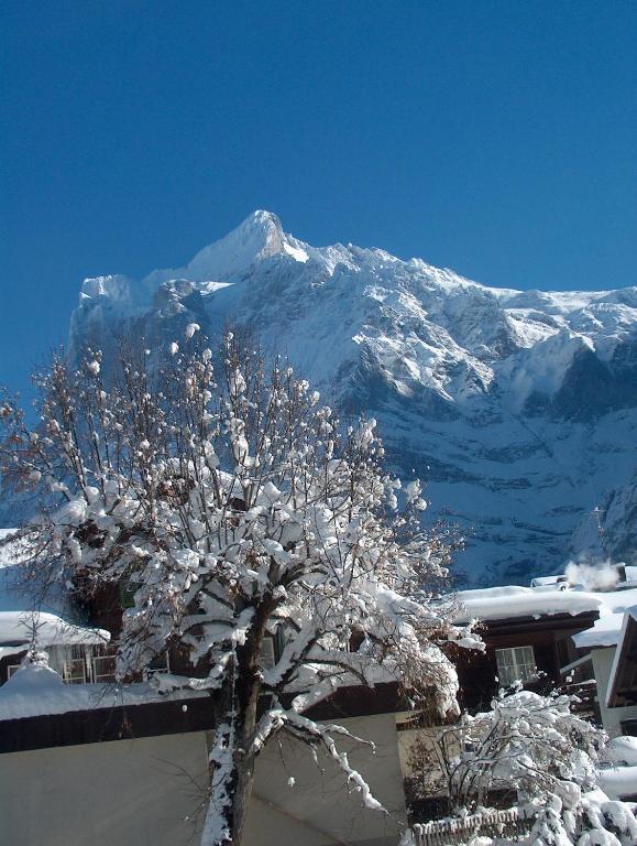 Ferienwohnungen Chalet Hohturnen Grindelwald Kültér fotó