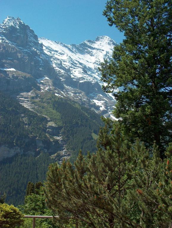 Ferienwohnungen Chalet Hohturnen Grindelwald Kültér fotó