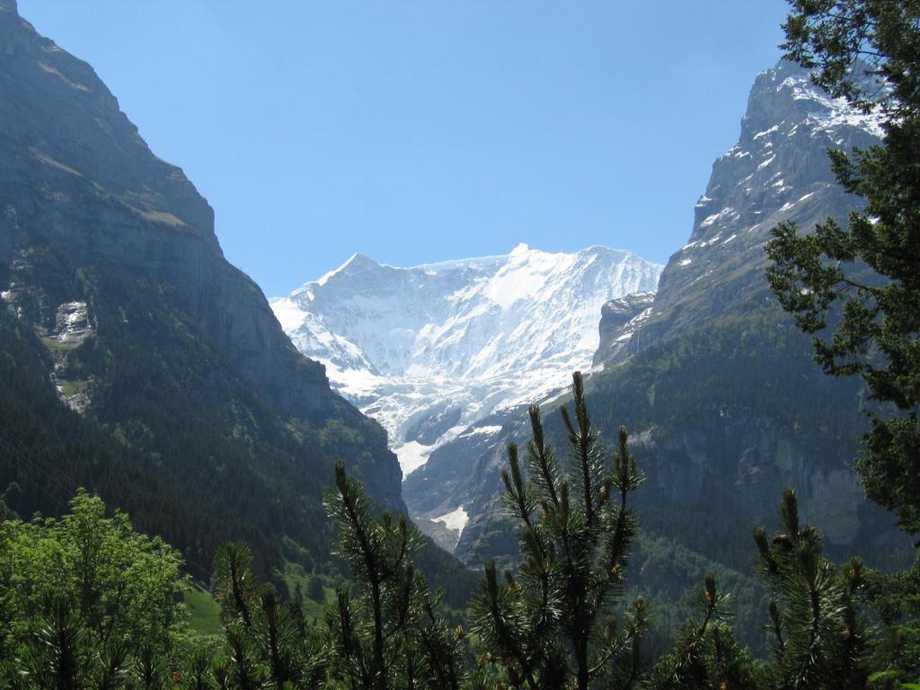 Ferienwohnungen Chalet Hohturnen Grindelwald Kültér fotó