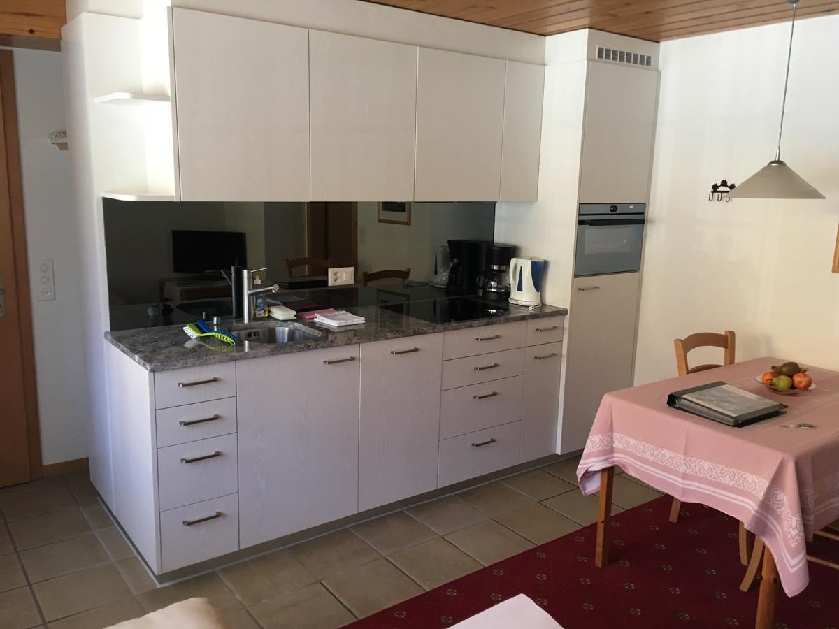 Ferienwohnungen Chalet Hohturnen Grindelwald Kültér fotó